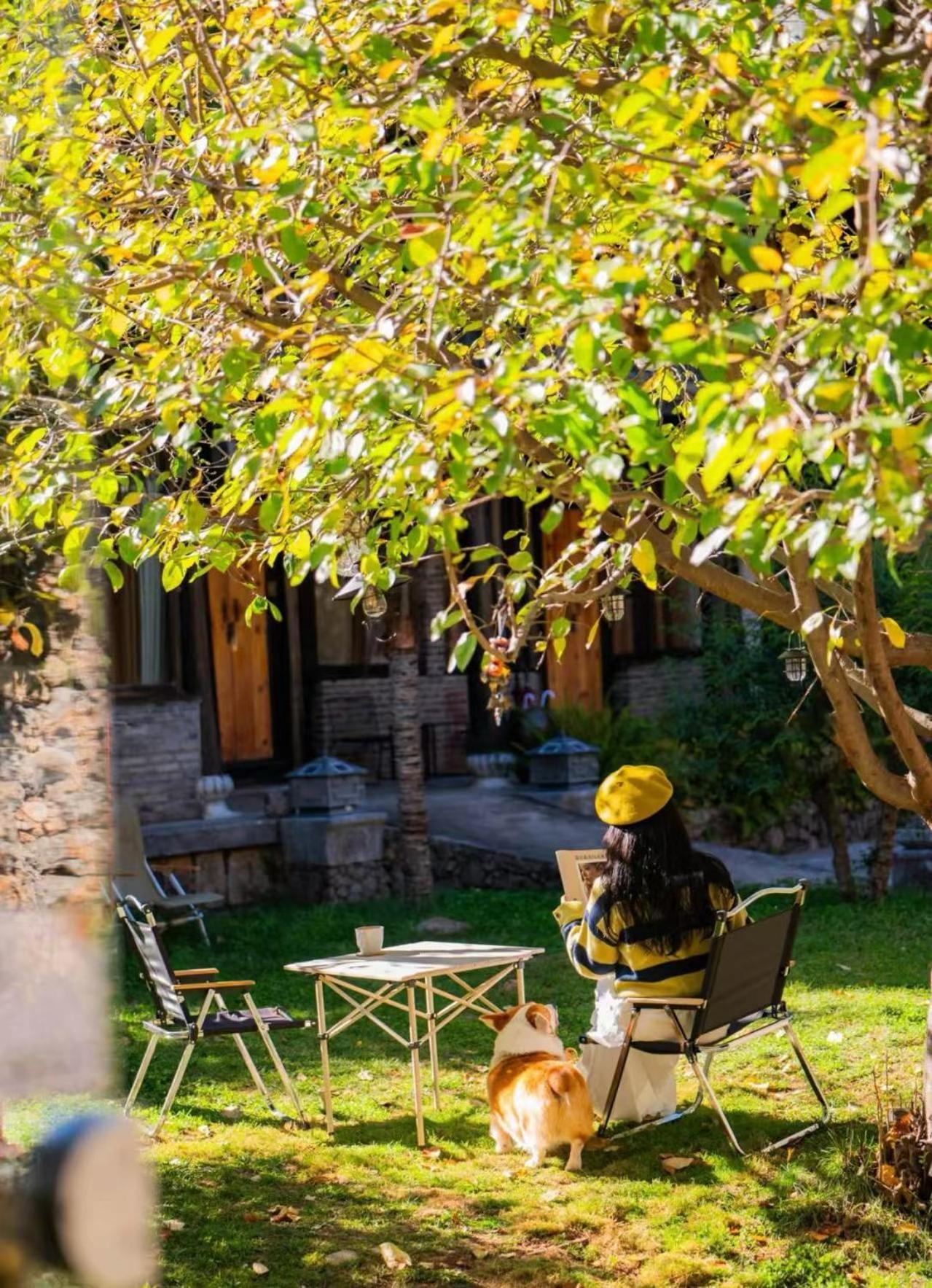Adonis Inn Lijiang Lijiang  Luaran gambar